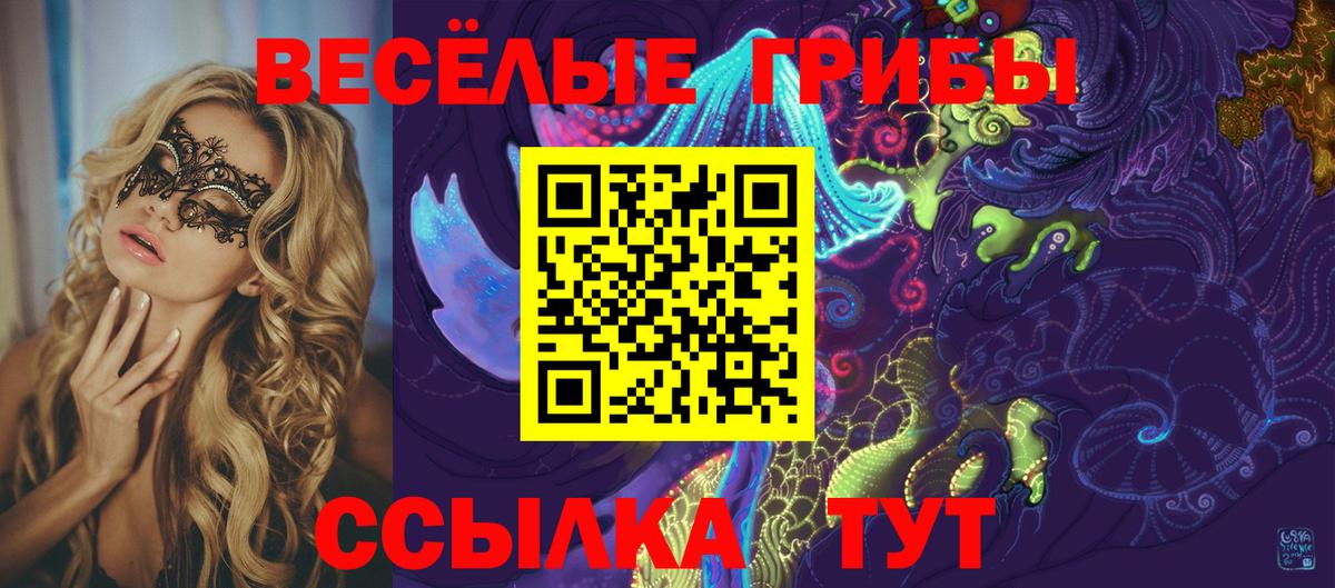 Галлюциногенные грибы Psilocybe  Галлюциногенные грибы Psilocybe  Вход с VPN  Тавда 